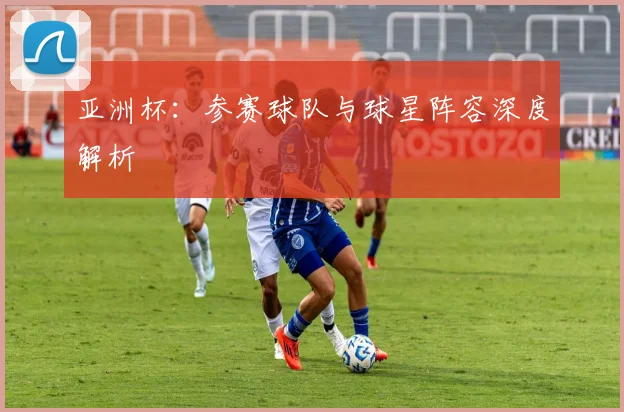 亚洲杯:参赛球队与球星阵容深度解析