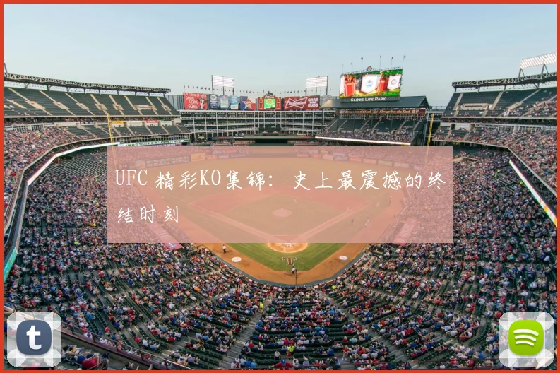 UFC 精彩KO集锦:史上最震撼的终结时刻