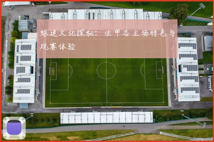 球迷文化探秘:法甲各主场特色与观赛体验