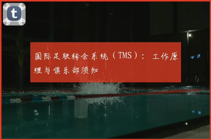 国际足联转会系统（TMS）：工作原理与俱乐部须知